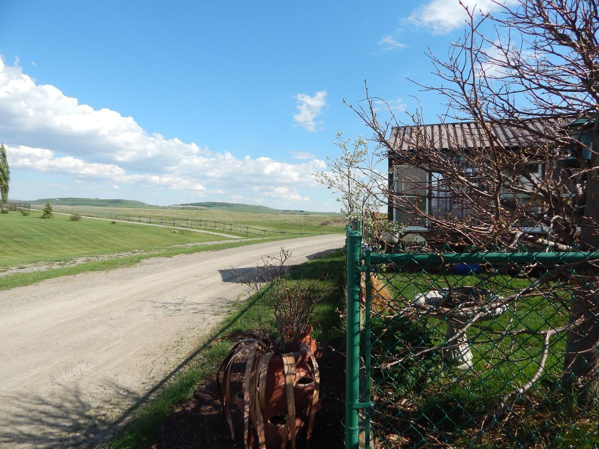 Idle Spurs Log Cabin Bed & Breakfast Black Diamond Zewnętrze zdjęcie